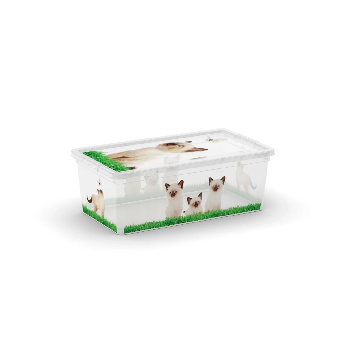 Contenitore Box Style XS Puppy And Kitten 3 Contenitore Box Style XS Puppy And Kitten